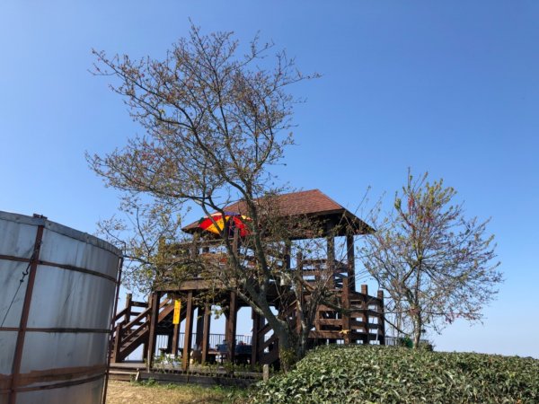 雲林縣古坑鄉樟湖生態國中小學、後棟仔山1270538