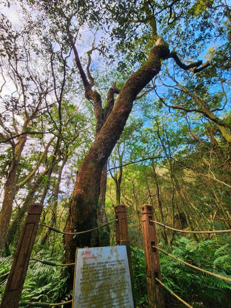 小百岳集起來-獅仔頭山2180891