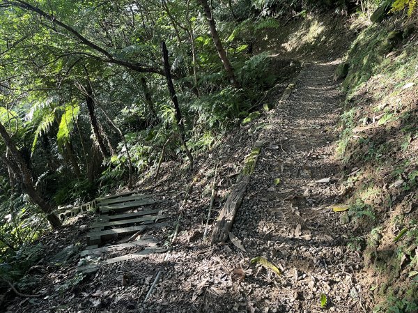 [山頂鳥40周年會員大縱走-08/15] 2024_0715 銀河洞越嶺登山步道2556754