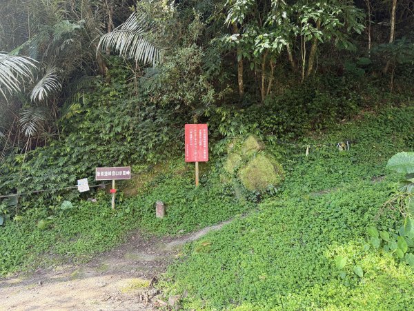 [淡蘭古道] 2026_0315 南路第二段_外按古道3016451