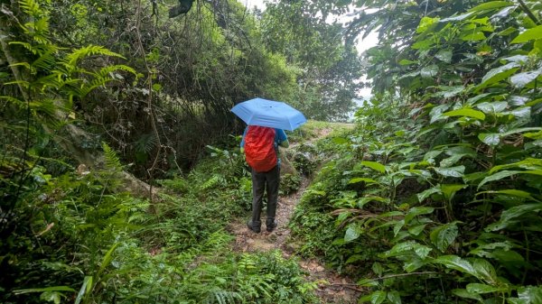 114.06.21大竹坑山-小粗坑山-石門山之旅2818878