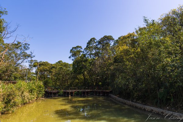 [台北]大崙頭山、碧山巖、忠勇山2746145