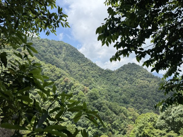 白毛山O繞+臭頭山 202505172791763