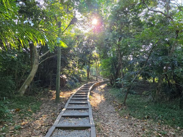 大坑一號、大坑五號（小百岳）2656481