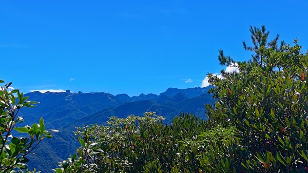 榛山景觀平台2918104