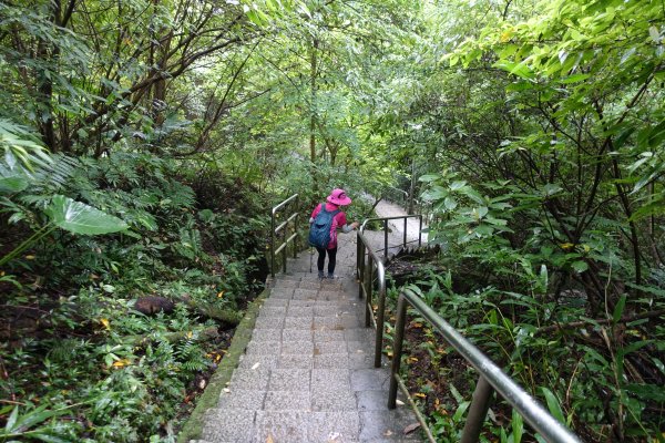 虎山自然步道．麗山橋口步道1098202