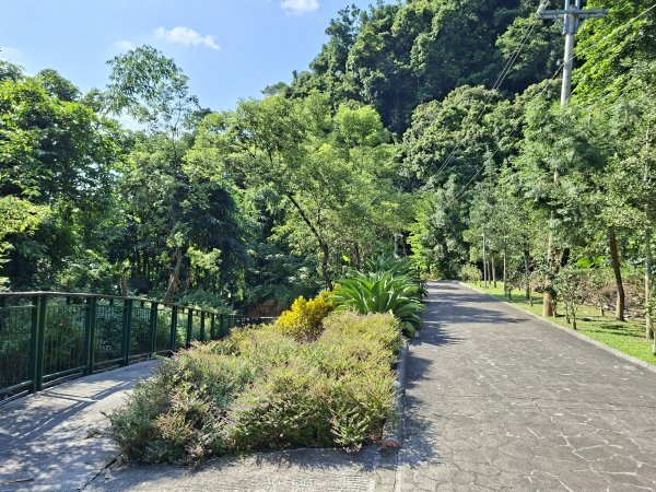 《南投》瀑布茶園｜竹山瑞龍瀑布步道及山坪頂茶山七星步道202609273124249