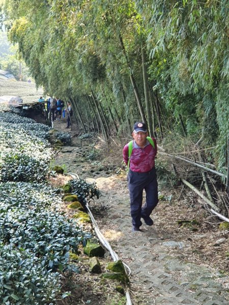 【雲嘉】後棟山連走大二尖山1478451