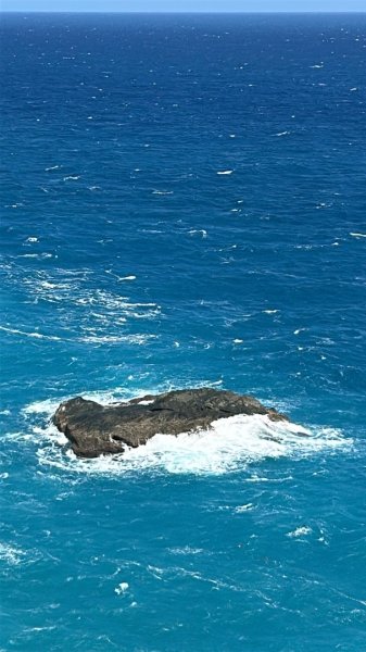 秀林象鼻隧道2970921