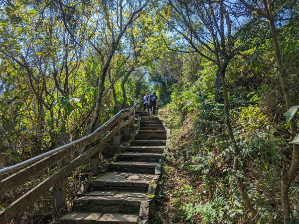 松山慈惠堂→九五峰／南港山／拇指山→糶米古道1622012