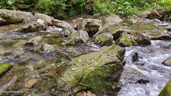 屋我尾山（麗陽）夏日汛期溪水限定版1765133