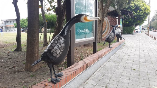 《嘉義》國家級濕地｜東石鰲鼓濕地森林園區202410272638460