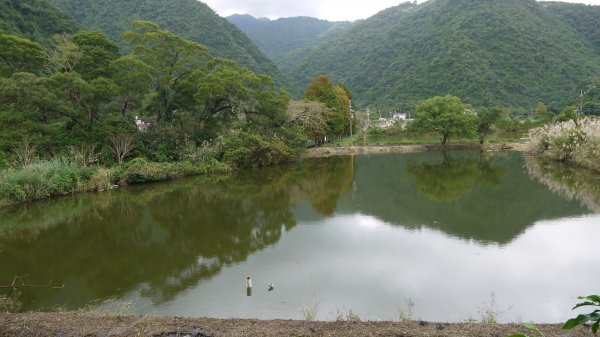 百年環山水圳步道登山健行趣(步道)1555107