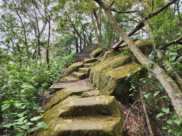 小百岳No.40⛰聚興山2409054