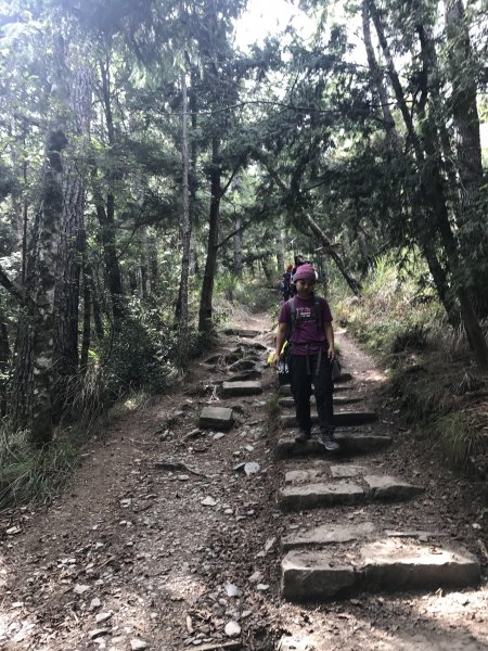 雪山 不下雪533081