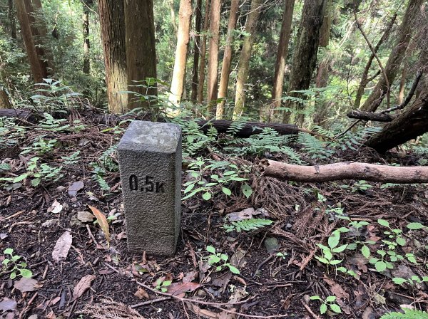 2025_0622 霞喀羅國家步道(石鹿端)2819532