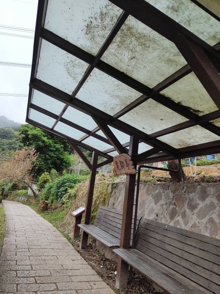 臺北大縱走第七段&第八段3019189