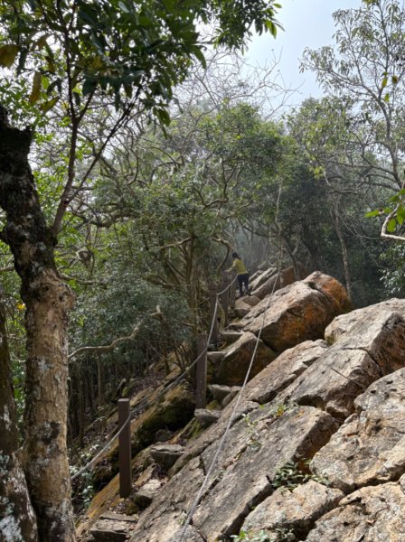 龍麟山步道（王爺崙2703665