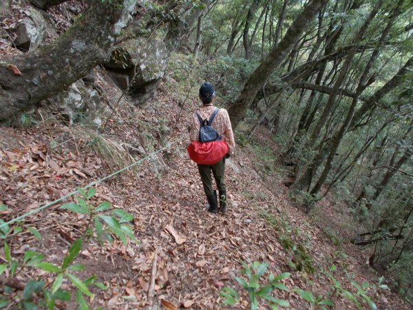 東閂岡山﹑梅松山﹑真巴烈山﹑麻加拉路山﹑摩里克安山1357363