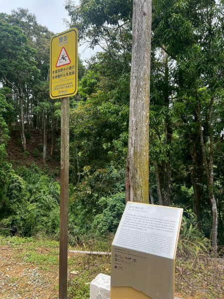 嵐山再古坑。五元兩角 木馬古道2806204