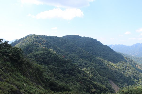 20201002高雄西阿里關山-茅山南峰1117678