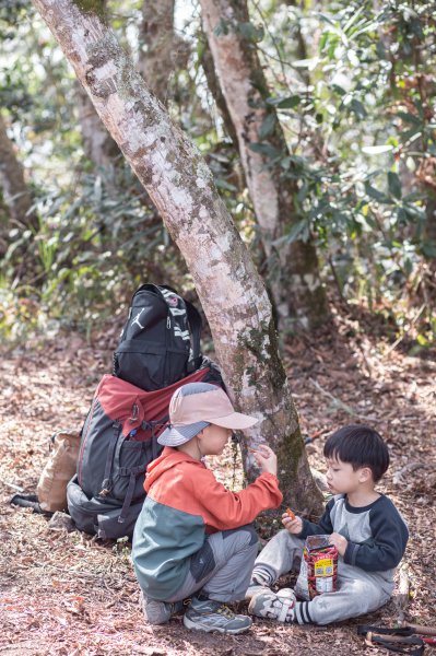孩子們的一日獵人之旅：馬奴多斯獵人古道、望美山、瞭望台2058056