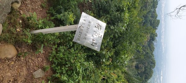 荷苞山登山步道2630700