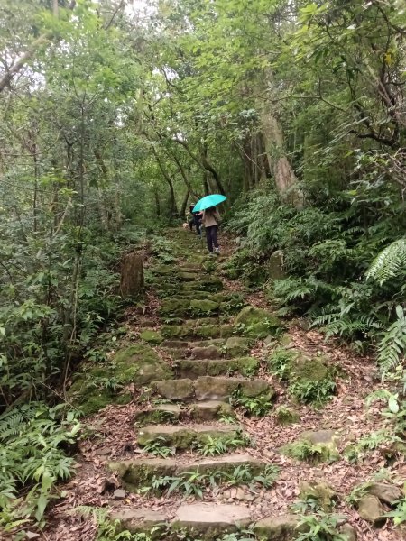 基隆市荖寮坑古道+十分古道(暖東舊道)+頂子寮山(嶺頭土地公)P字走2821556