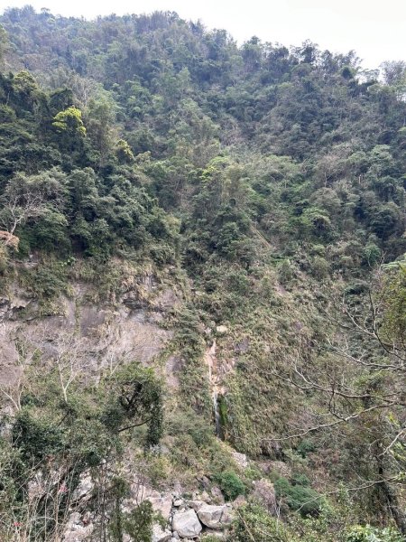 （雲林）草嶺蓬萊瀑布步道2721140