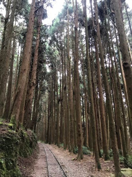 特富野古道903203