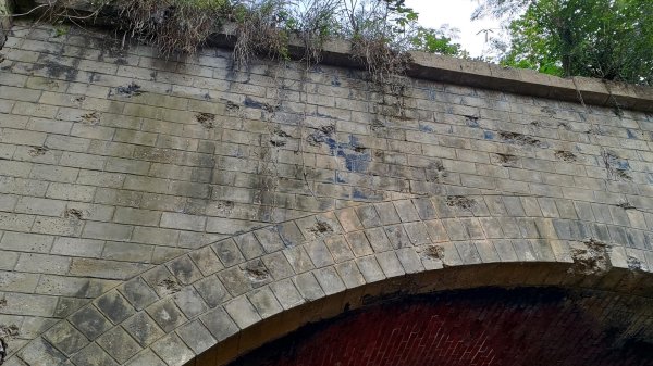 新竹車站巡禮~崎頂到香山2986438