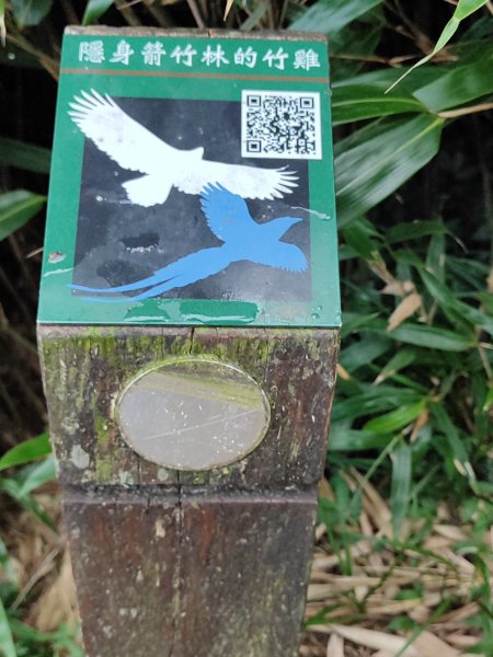 臺北大縱走第二段：二子坪至小油坑2827693