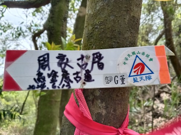 蛇子形古道+柴寮古道2754243