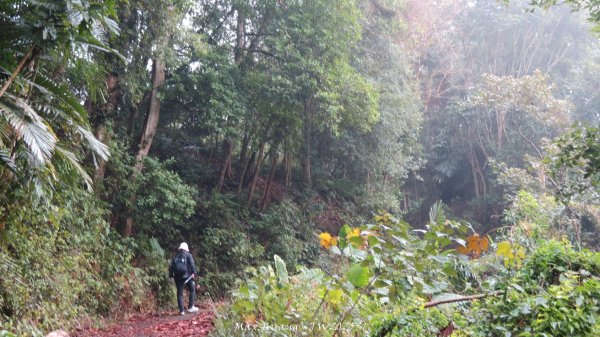 《苗栗》台鐵舊山線｜三義勝興鐵道覓境及挑柴古道O繞202501192693571