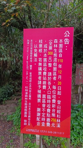 溪頭~金柑樹山/嶺頭山/忘憂森林O形走（沿路竟是耶穌光）1884171