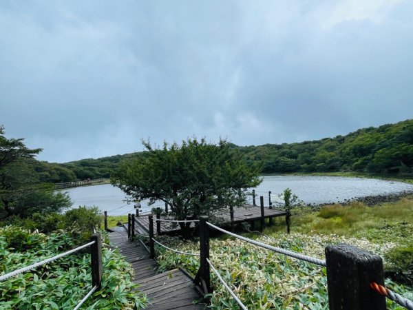 1140811 KR 漢拏山杜鵑花田避難所-紗羅岳觀景臺2860202