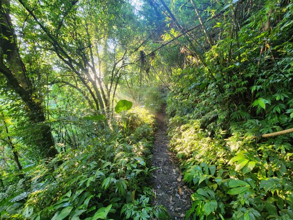 20240707馬胎古道2780980