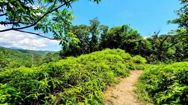 汐止新山夢湖，石獅山，翠谷橋壺穴，內湖大崙尾山，明舉山，康樂山，翠山步道，汐止金龍湖，學頭坡山1859900