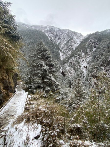 塔塔加-排雲山莊。驚喜滿分的糖霜雪景1565815