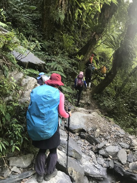 哈盆古道-波露南山-波露山O型走1475864