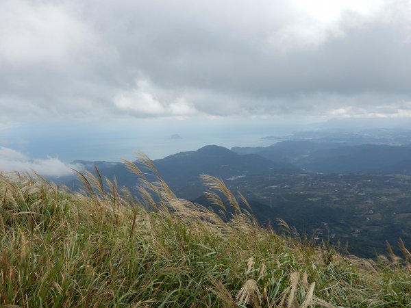 擎天崗_竹篙山_磺嘴山1159667