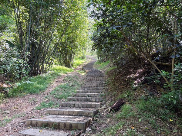 犁頭山、文山步道2835641
