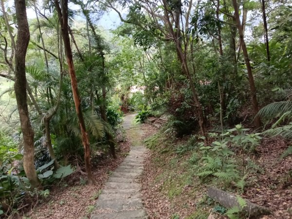 汐止區小南港山(橫科山)+白匏湖+白匏湖山+白雲古道2970629