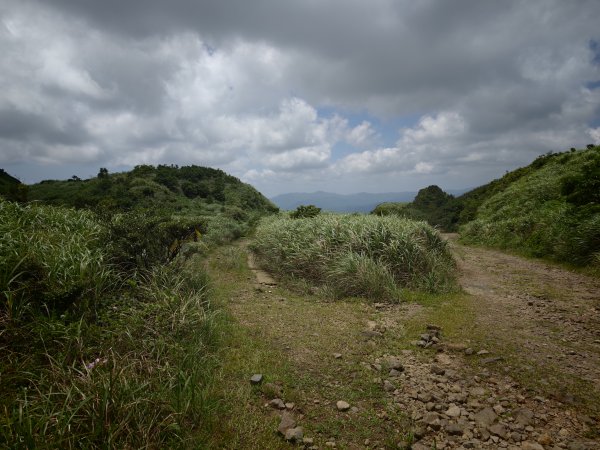 [淡蘭古道] 2026_0531 北路第一段_燦光寮古道(中)-陡坡3070884