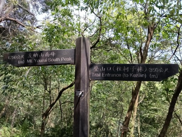 五指山古道+友蚋山南峰2757038