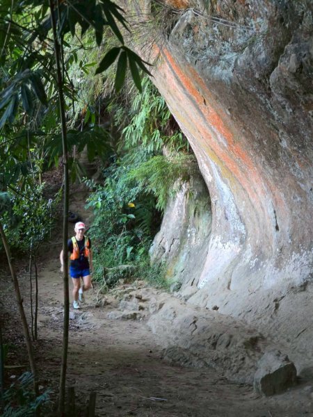 20250913_三峽鳶山爬山趣2882765