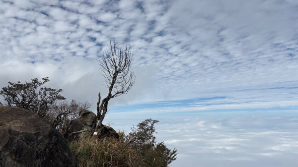 再也不爬囉（告別20252973160