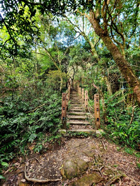 小百岳集起來-獅仔頭山2180892