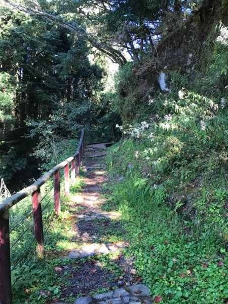 阿里山雙峰大塔山對高岳連走451413
