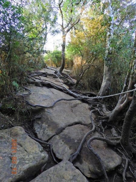 苗栗 南庄 加里山、哈堪尼山1304169